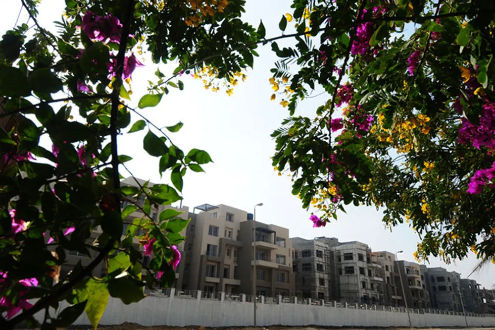 Village Avenue (New Cairo)