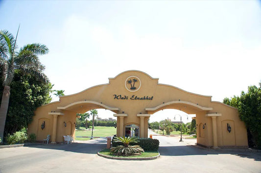 Wadi El Nakhil (New Zayed)