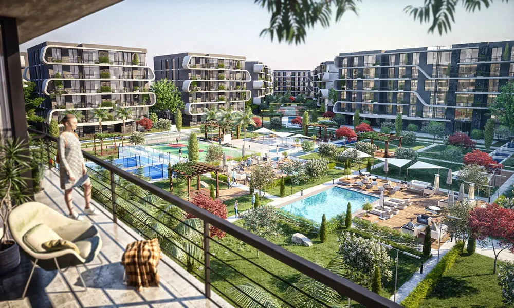 Belva (El Sheikh Zayed)