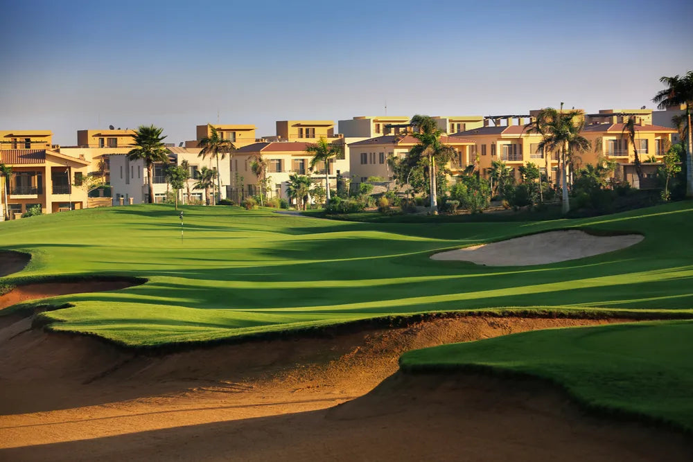 Allegria (El Sheikh Zayed)