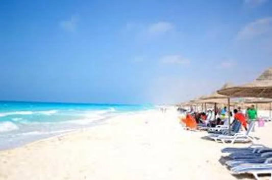 Marseilia beach 3 (North Coast-Sahel)